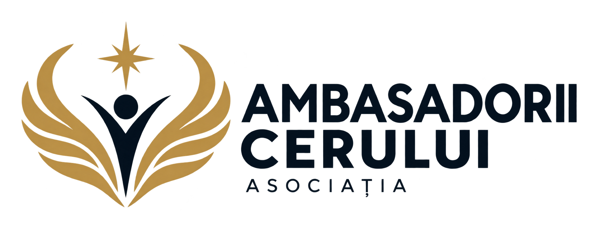 Asociația Ambasadorii Cerului